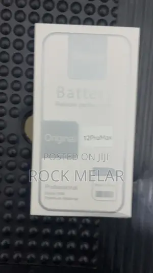 iPhone 12 Pro Max Battery