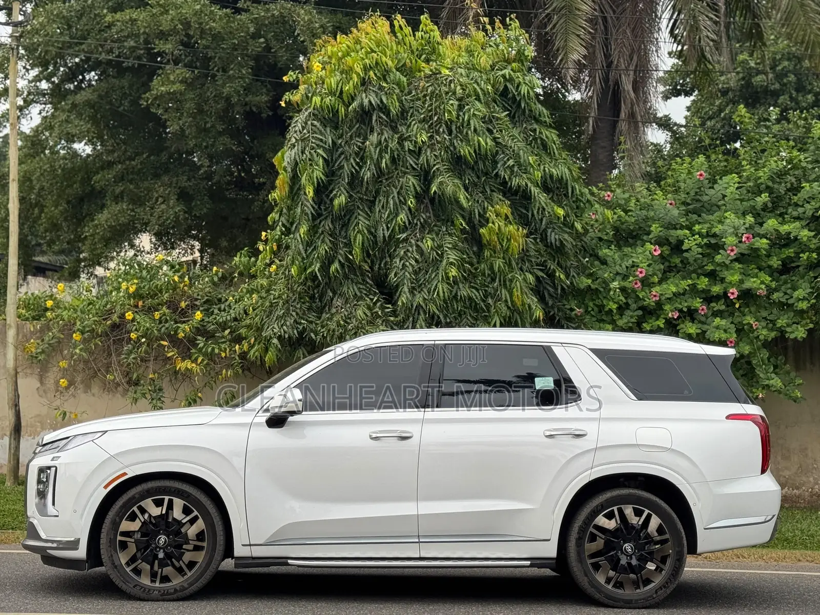 Hyundai Palisade Limited 2023 White