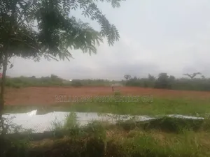 1 Acre Filling Station Land 4Sale Ejisu Effiduase-Juaben Road