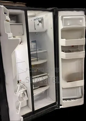 Side by Side LG Fridge