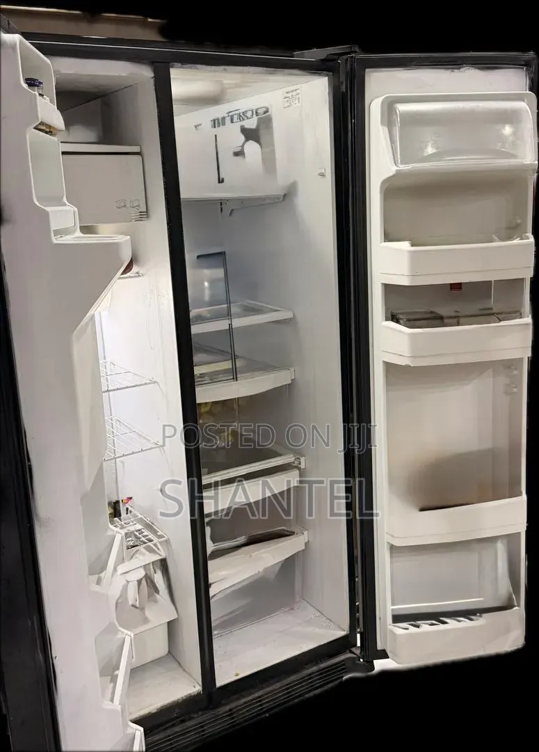 Side by Side LG Fridge