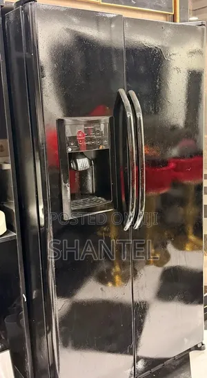 Side by Side LG Fridge