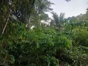 8 Acres of Land for Sale