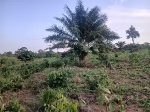 8 Acres of Land for Sale