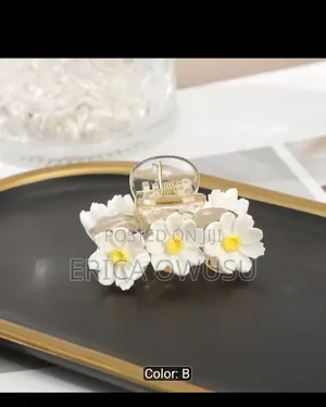 Erica's Accessories
