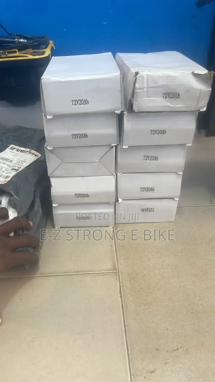 Electric Bike Charger