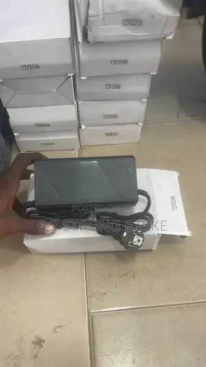 Electric Bike Charger
