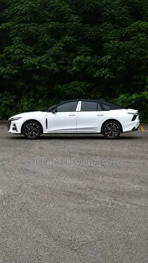 Hongqi E-HS9 2026 White