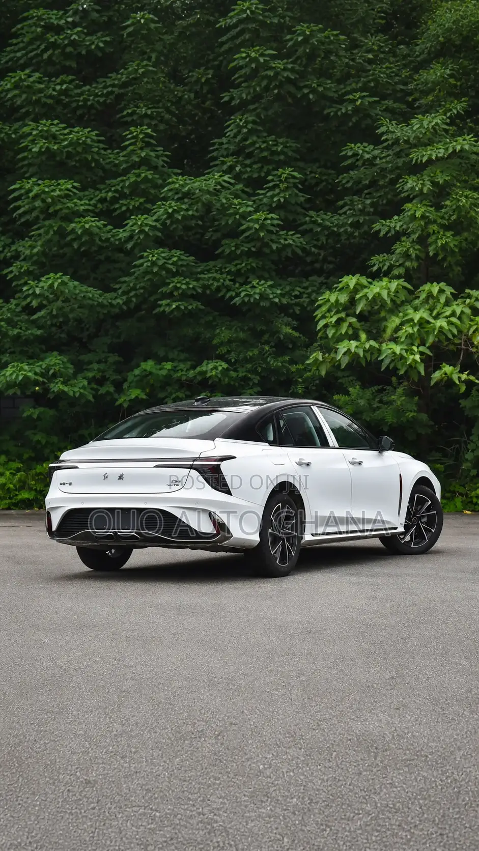 Hongqi E-HS9 2026 White