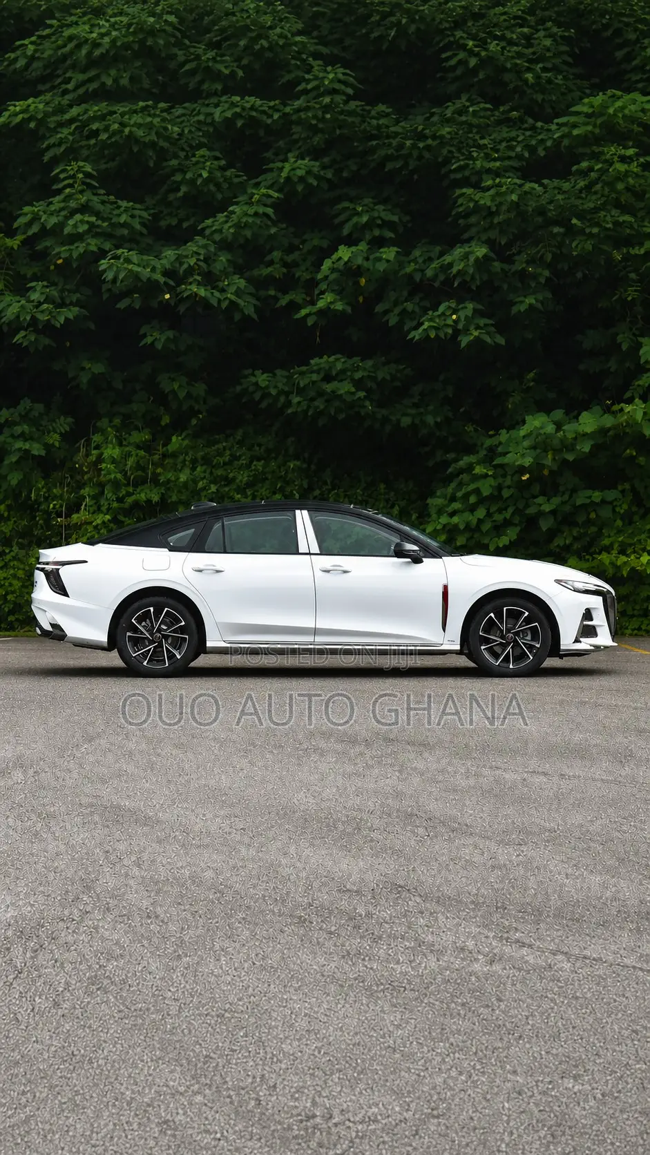 Hongqi E-HS9 2026 White