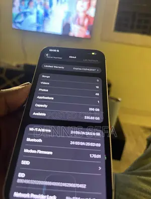 Apple iPhone 17 Pro Max 256 GB Silver