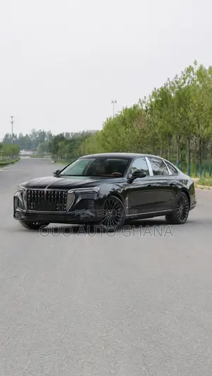 Hongqi E-HS9 2025 Black