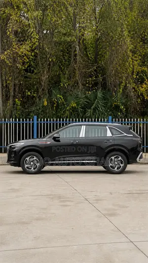 Hongqi E-HS9 2025 Black