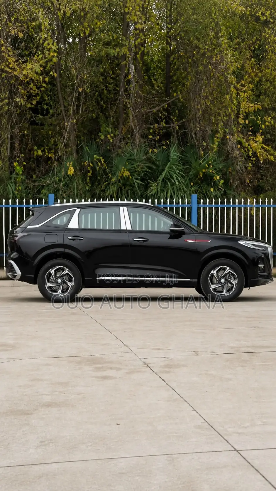 Hongqi E-HS9 2025 Black