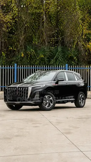 Hongqi E-HS9 2025 Black