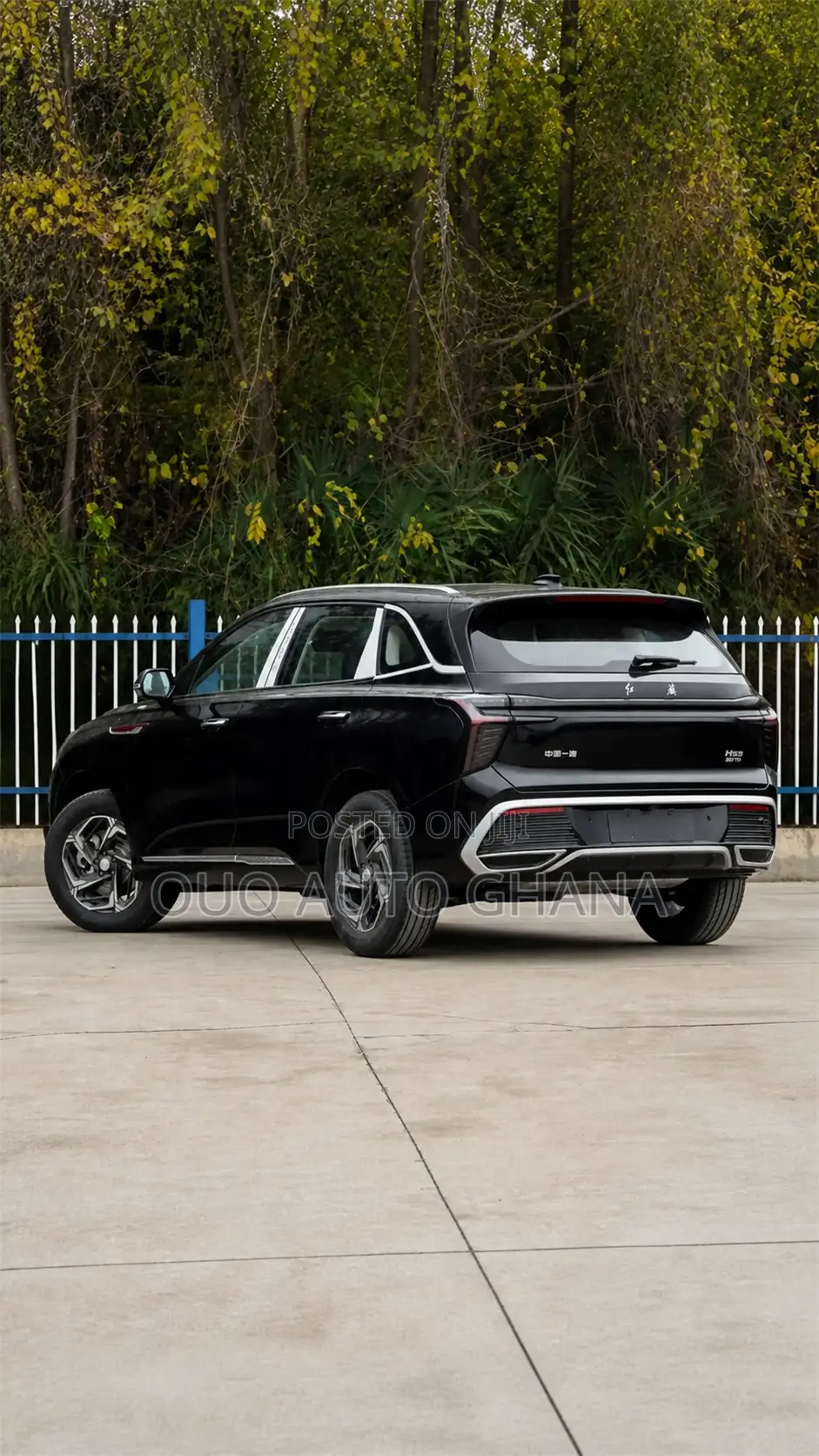 Hongqi E-HS9 2025 Black
