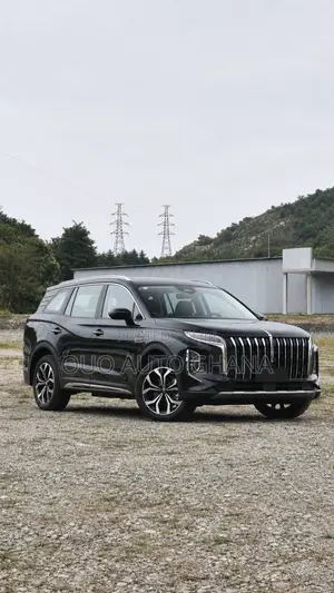 Hongqi E-HS3 2023 Black
