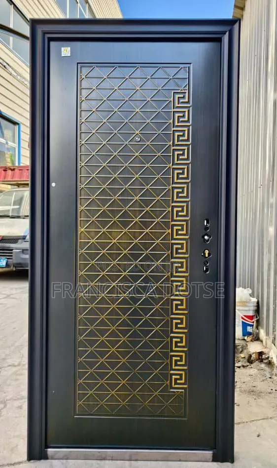 High Quality Single Paladin Door