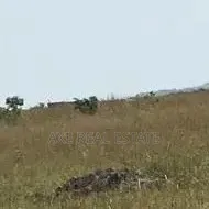 Prampram New Ningo Lands - Modern Residential Property.