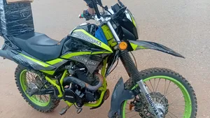 Arc Vector 2025 Green