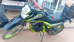 Arc Vector 2025 Green