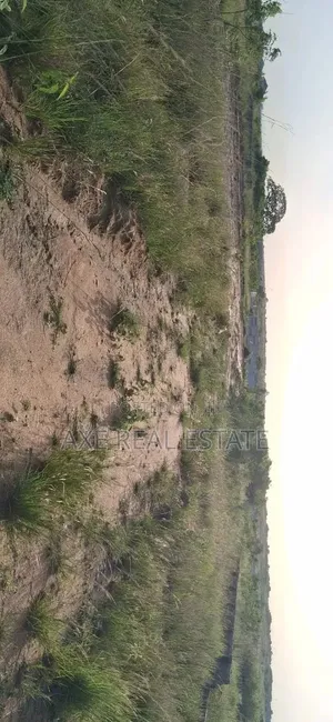 The Ideal Multipurpose Half Plot> Prampram New Ningo