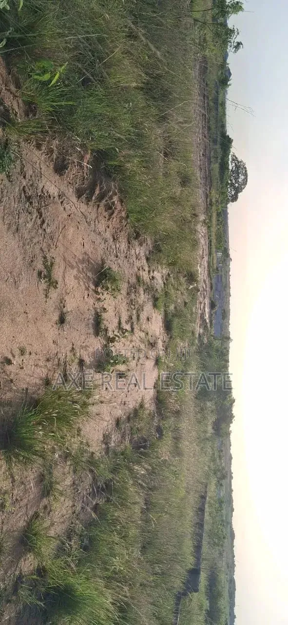The Ideal Multipurpose Half Plot> Prampram New Ningo