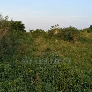 The Ideal Multipurpose Half Plot> Prampram New Ningo