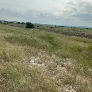 Quite Estate Half Plot Property
