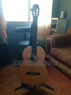 Classical Acoustic Guitar