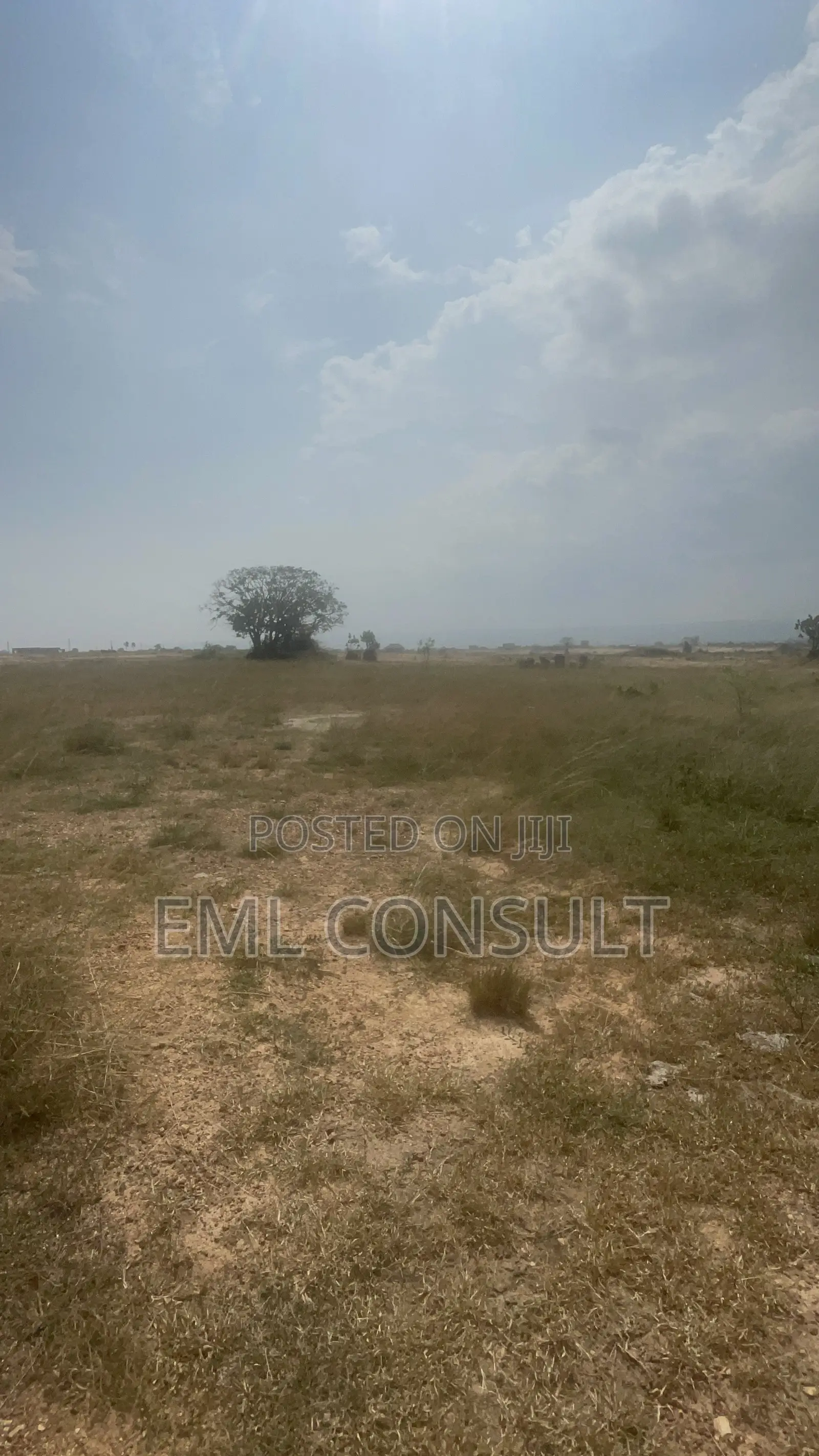 Land for Sale at Afienya Mobole. 2 Plots Available