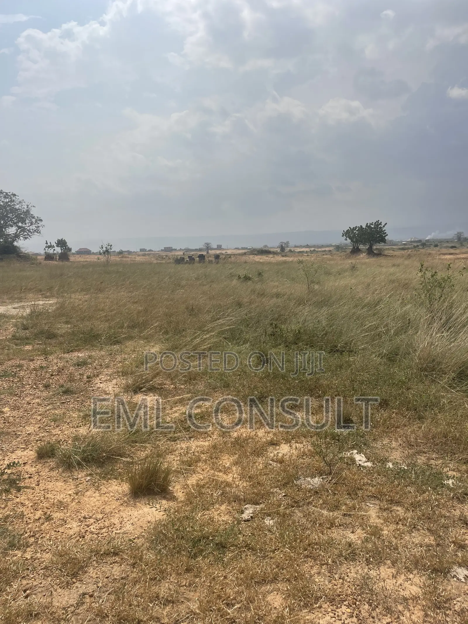 Land for Sale at Afienya Mobole. 2 Plots Available
