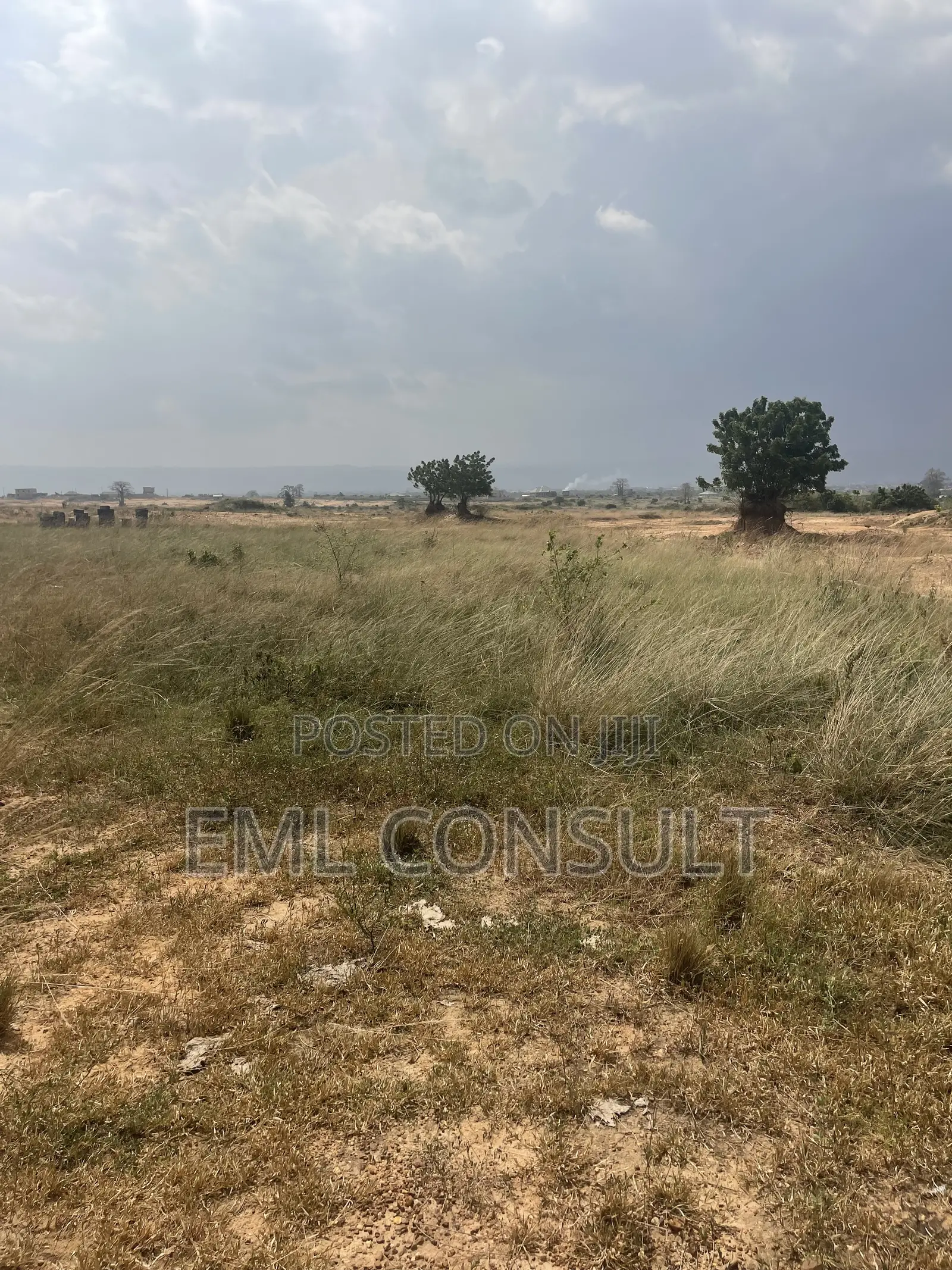 Land for Sale at Afienya Mobole. 2 Plots Available