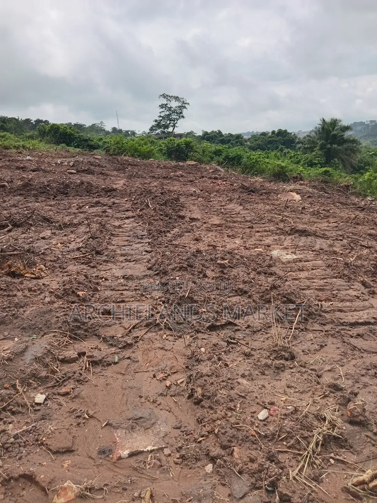 Own Land in a Fast Growing Area