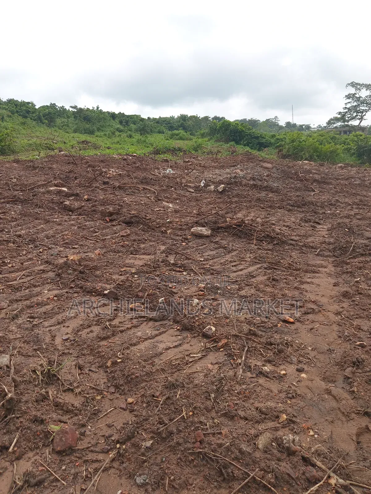 Own Land in a Fast Growing Area