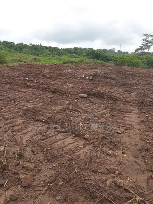 Own Land in a Fast Growing Area