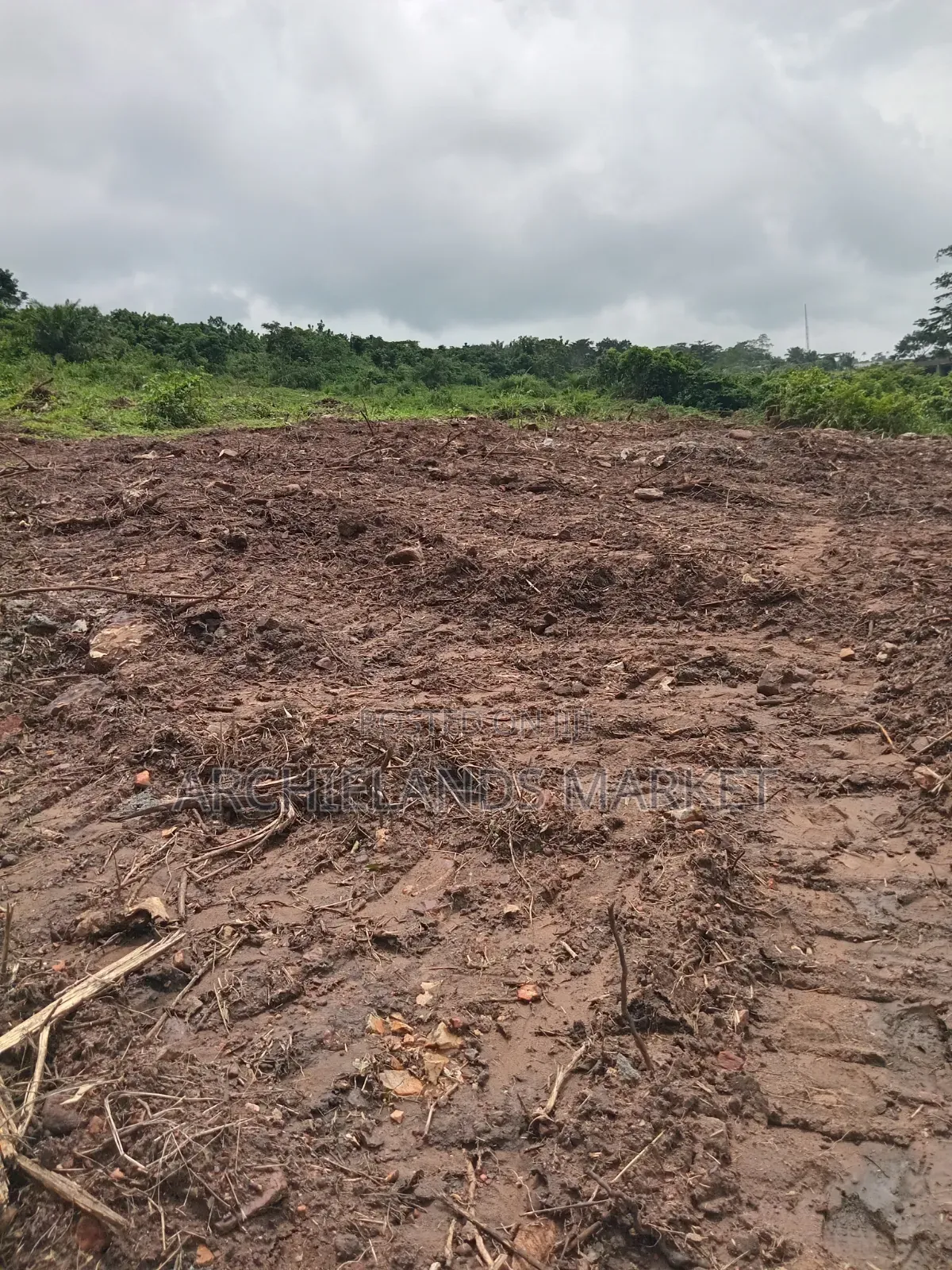 Own Land in a Fast Growing Area