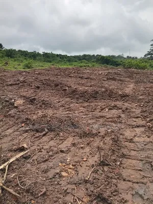 Own Land in a Fast Growing Area