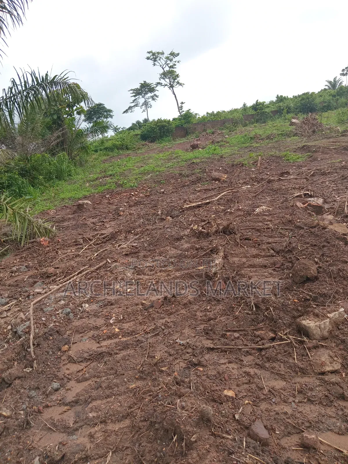 Own Land in a Fast Growing Area