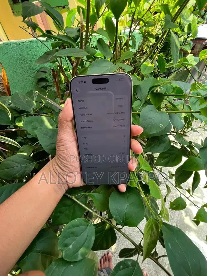 Apple iPhone 16 Pro Max 256 GB Gold
