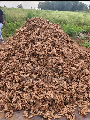 Organic Ginger