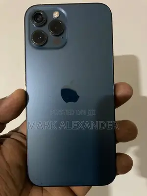 Apple iPhone 12 Pro Max 256 GB Blue