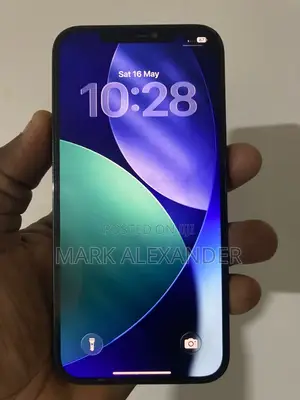 Apple iPhone 12 Pro Max 256 GB Blue