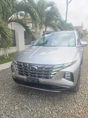 Hyundai Tucson Limited 2024 Silver