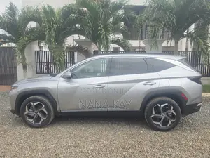 Hyundai Tucson Limited 2024 Silver