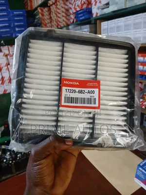 Honda 17220-6b2-A00 Air Filter