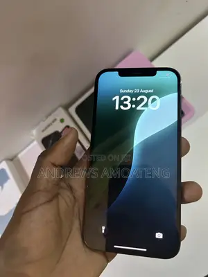 Apple iPhone 12 Pro Max 256 GB Blue