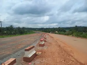 Volta Region, Ho (U.H.A.S Road) _ 2 Plots (70' X 200') Commercial Land