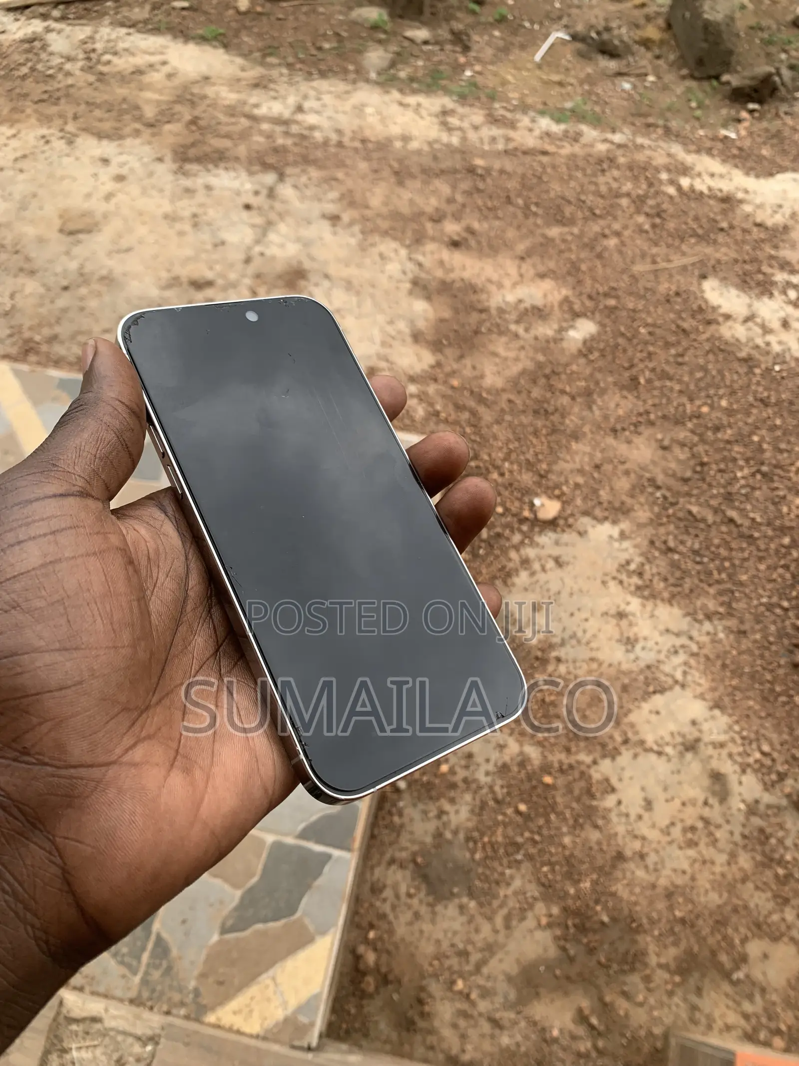 Apple iPhone 14 Pro Max 256 GB Silver