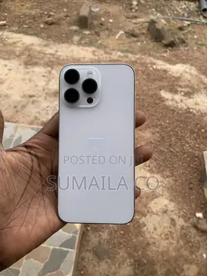 Apple iPhone 14 Pro Max 256 GB Silver